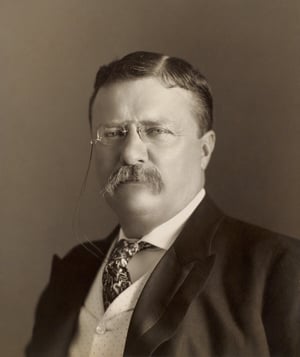 Theodore Roosevelt AI voice text to speech and AI music cover generator